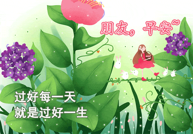 640_446gif 动态图 动图