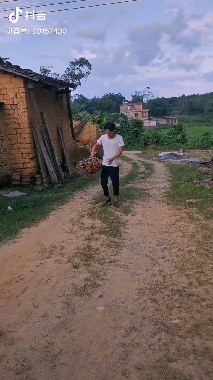 乌黑仔带来看我了二哥农村怀旧故事明少兄妹搞笑莫老弟