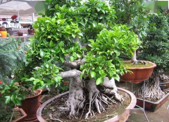 130�� · ������ͥ����ֲ������������֣�