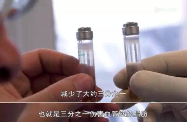 的测试|你每天的运动真的有效吗？英国一部纪录片的测试结果颠覆常识！