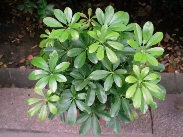 130�� · ������ͥ����ֲ������������֣�