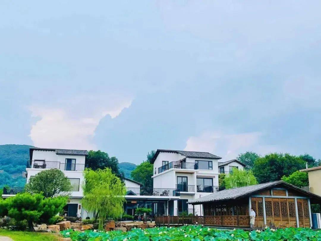 在希望的田野上系列报道五十七盘点合肥人气网红民宿看完第一个就想去