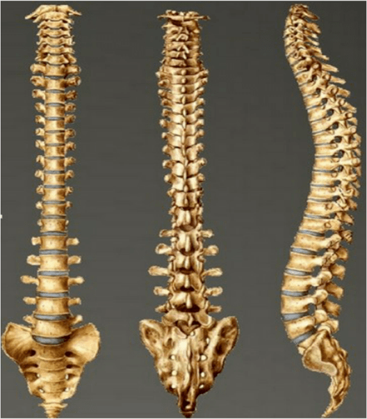 妇幼健康丨你了解自己的脊柱吗怀疑孩子脊柱侧弯x线检查要怎么做