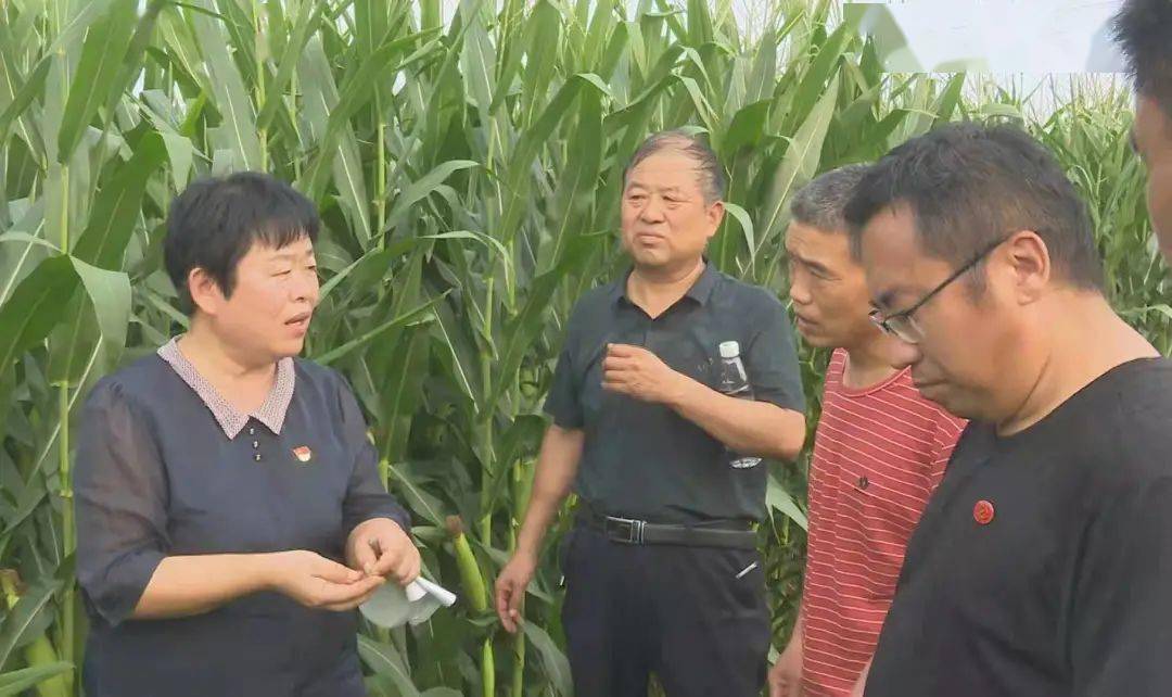 吉林农业技术推广