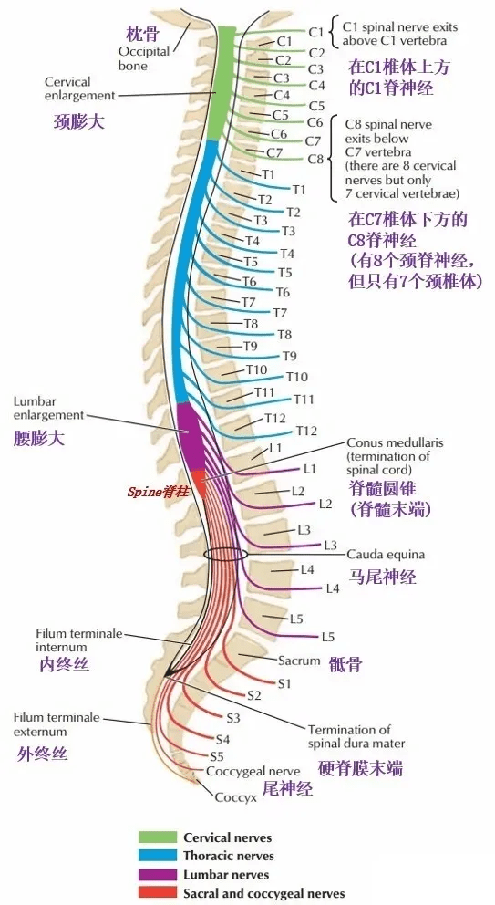 9848306e8a5245a09f621089f614a098.png