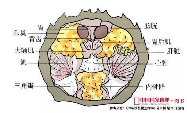 原创死后2小时菌落总数激增死了的螃蟹到底能不能吃