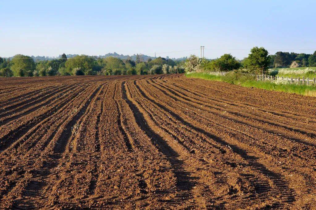 保护百姓的"粮袋子""菜篮子"!甘肃强有力监督问责保障粮食和耕地安全