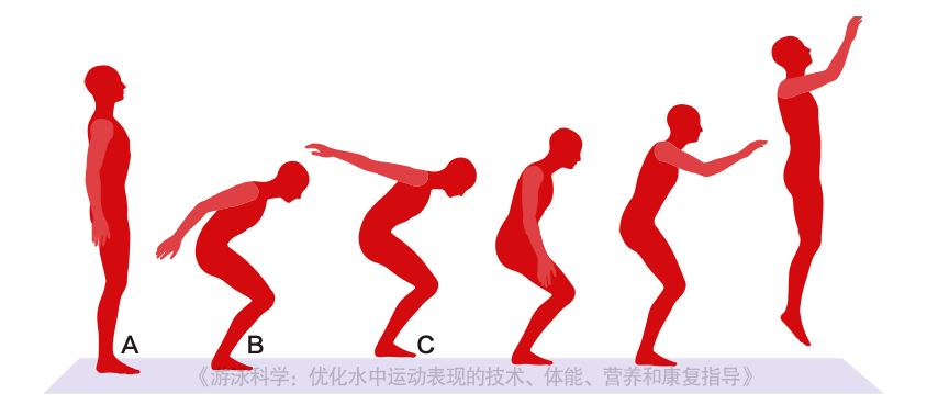 游泳科学泳者更应注重骨骼健康别让骨质疏松症阻碍你的发展