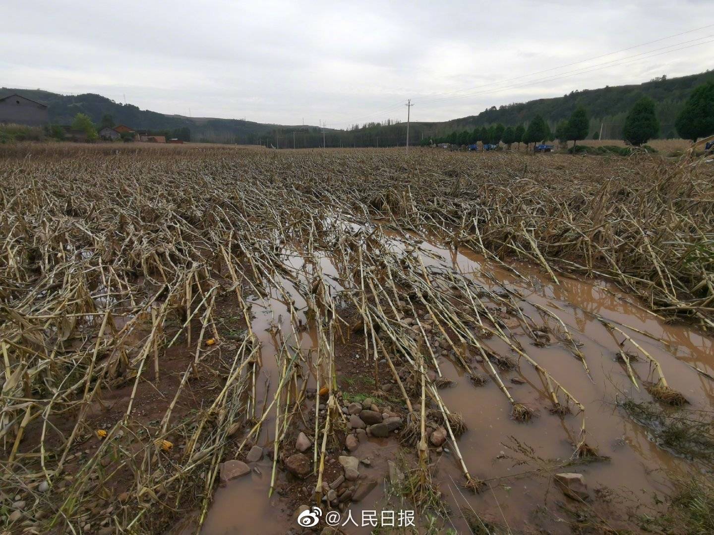 安泽县洪水图片