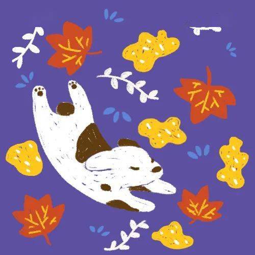 头像 10月头像 | 秋日宝藏头像来啦！