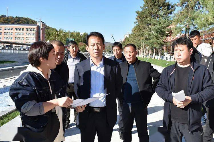 戴存鹤检查重点民生项目建设情况