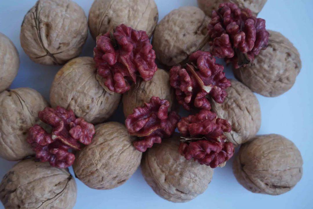 林讯 山西核桃新品种 晋丹 通过国家林草局现场审查 林业