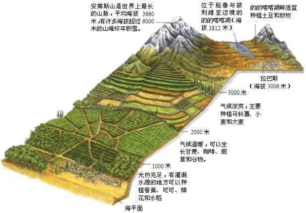 7000米的相对高度为中国最全的垂直地带性分布被誉为山地植被类型的天
