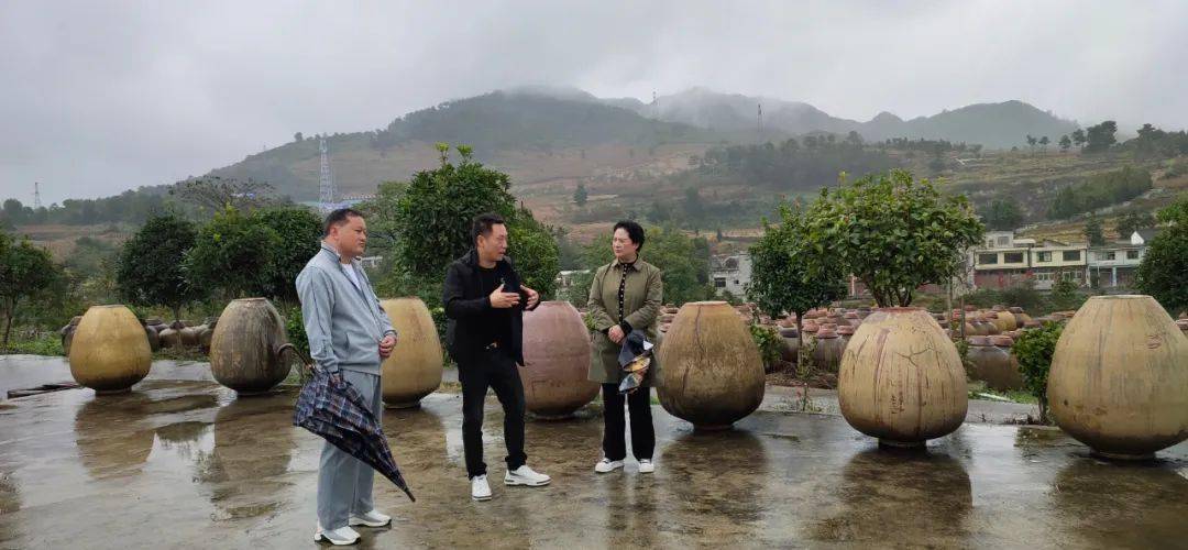 罗智琼调研乡村振兴及农业产业发展工作