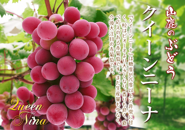 cb586e7477b04a49af92740156d40c32.png