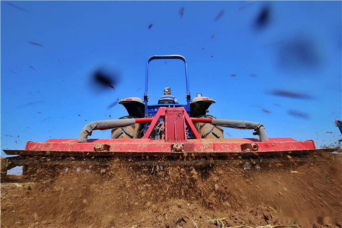 魏县冬小麦开始播种