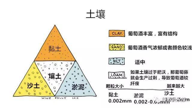 葡萄|影响美酒酿制的5个地理因素