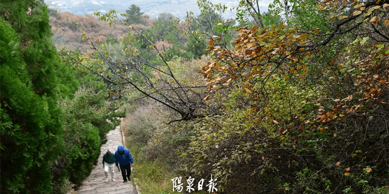 版权|一不小心，打翻了“调色盘”！阳泉的深秋美成画