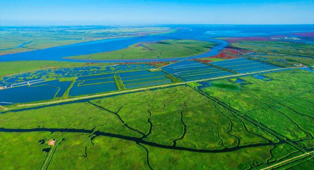 创建国家生态文明建设示范市系列报道 | 高质量绿色发展,守护多彩的