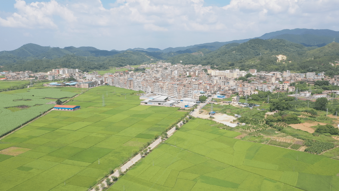 我的家乡龙安镇