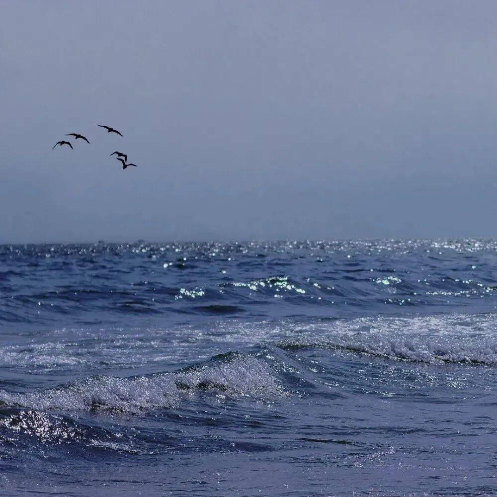 你会喜欢的大海背景图