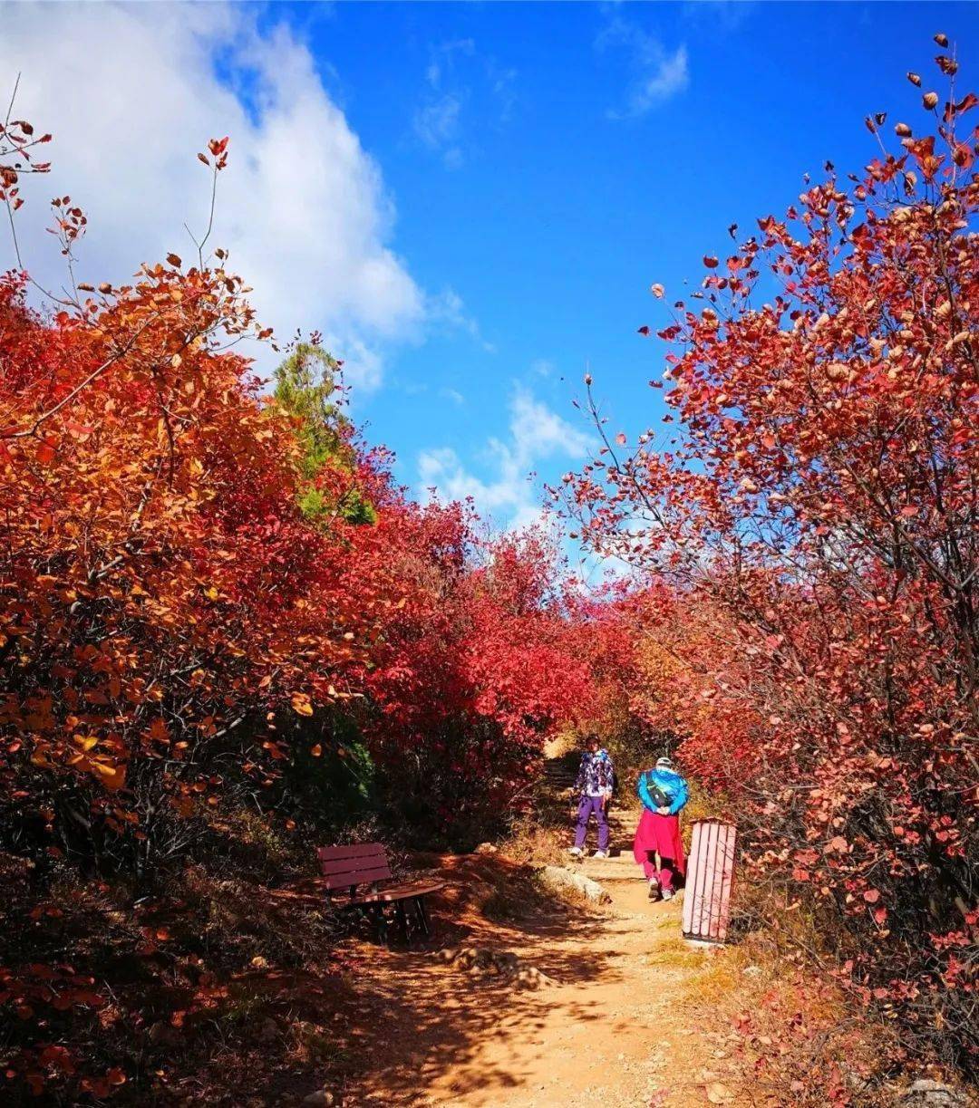 舞彩浅山重镇木林恭迎八方来客丨第六届北京顺义舞彩浅山旅游登山文化