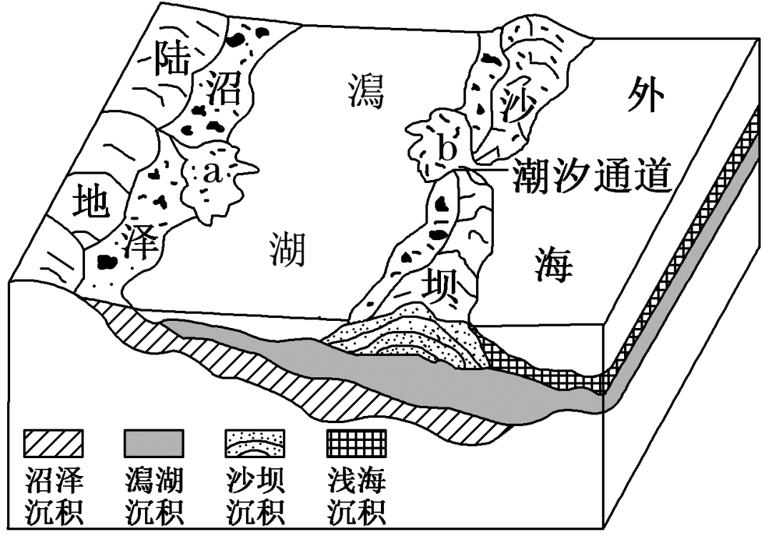 每日一题_海平面
