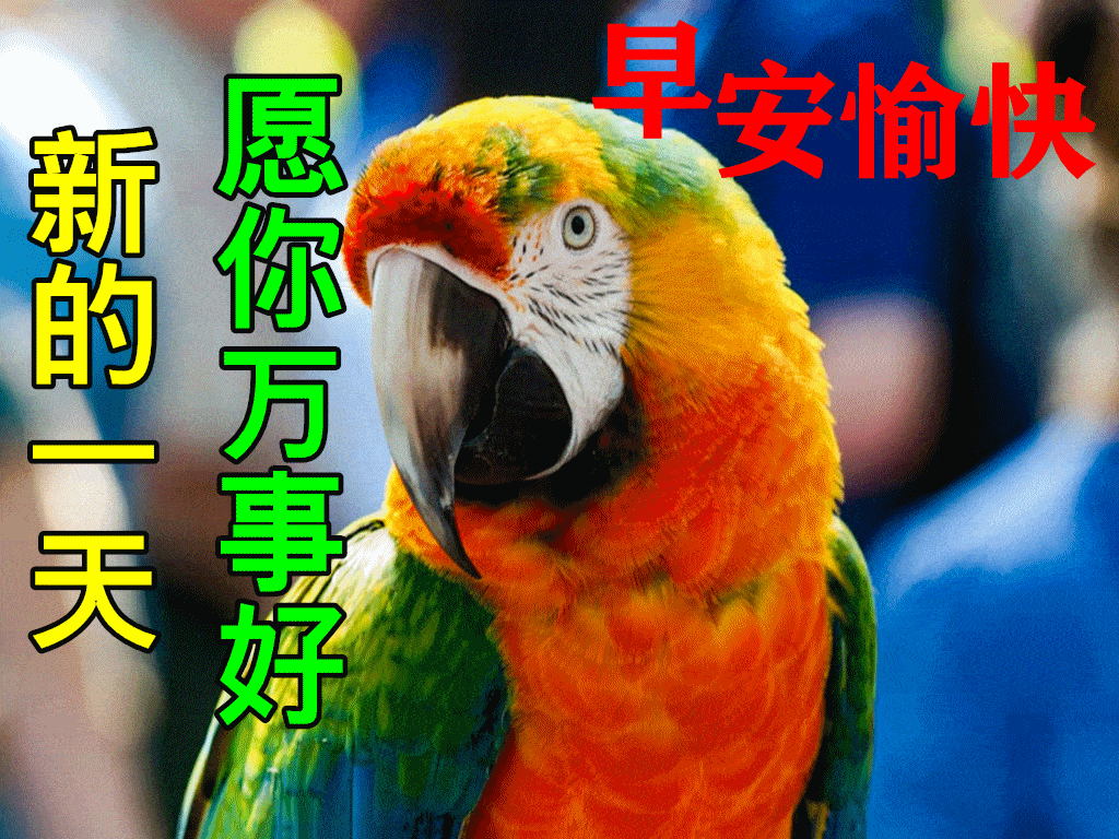 10月15日早上好动态表情图片大全早晨好动图美图大全
