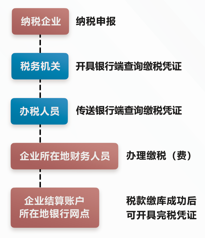 10月起广西全区全面推广跨省异地电子缴税业务