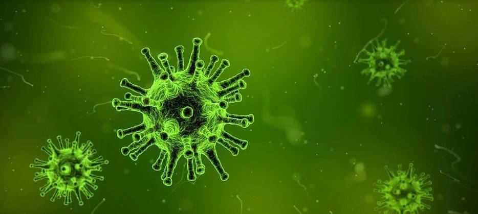 而t细胞的t来源于它们的主要发育场所——胸腺thymus