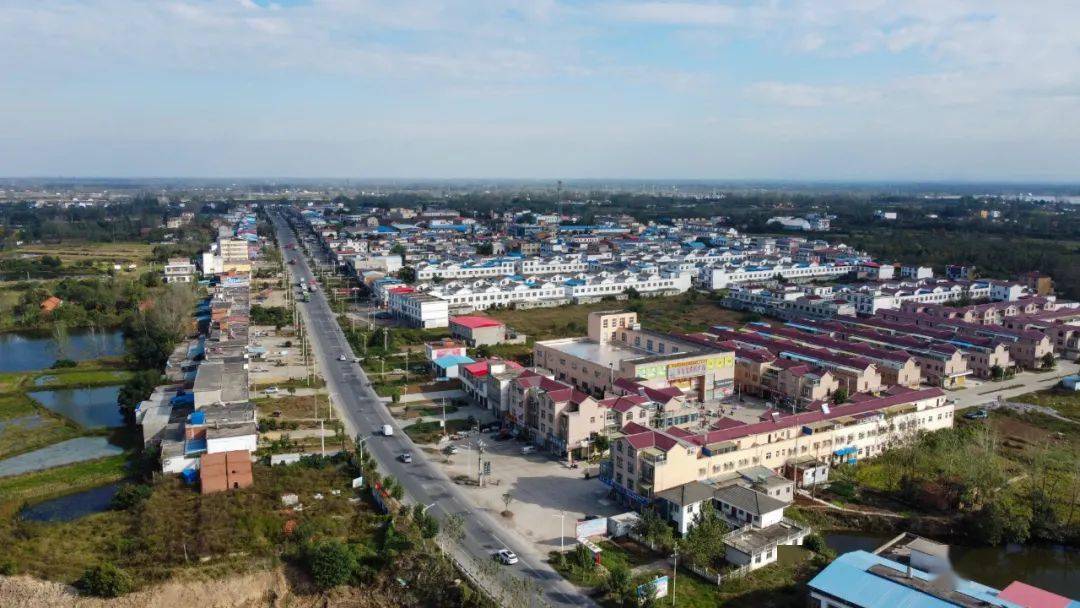 魅力潢川乡镇行产业之花齐绽放伞陂发力展新颜