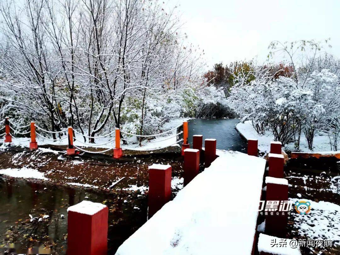 哈尔滨|黑龙江省多地迎来第一场雪！强冷空气来袭，大部地区最高气温10℃以下