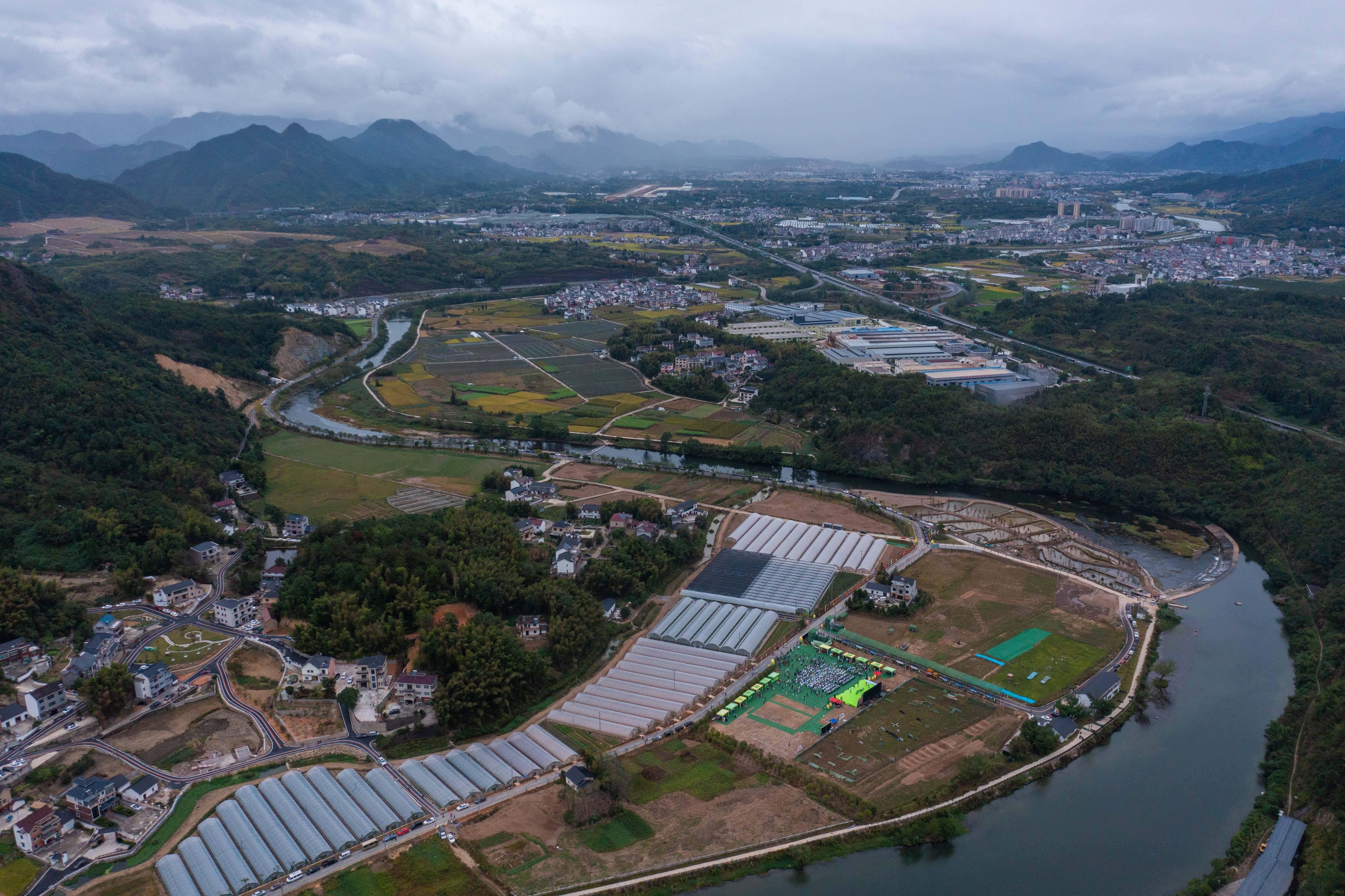 游客|特色农旅产业助力乡村振兴