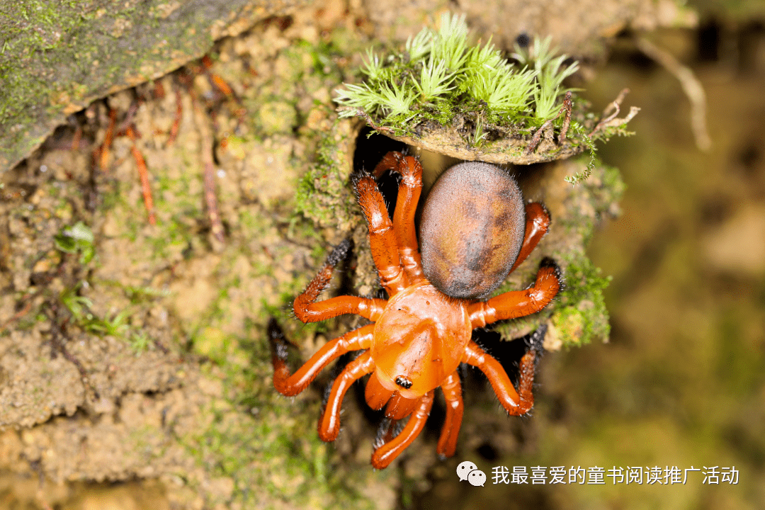 带着童书走进大自然