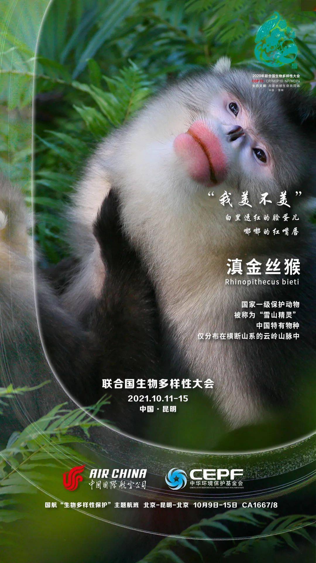 滇金丝猴是否是中国特有物种?