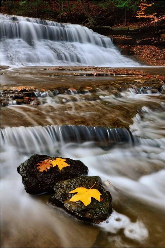 时候秋天的慢门怎么拍出与众不同的感觉？有5条捷径可走！