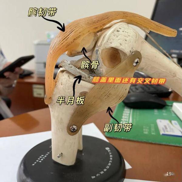 运动|23岁杭州姑娘因为裤子太短…进了医院