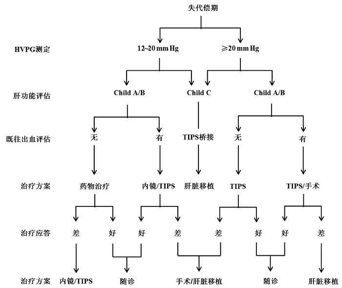 權威發佈|肝硬化門靜脈高壓症多學科診治(基於肝靜脈壓力梯度)專家