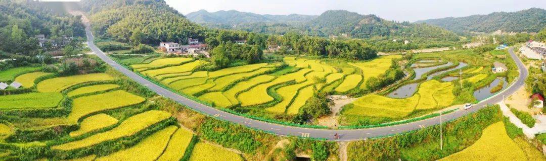 六安龙井冲村旅游图片