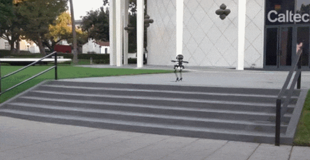 能玩滑板、走钢丝的机械人，到底有多酷？