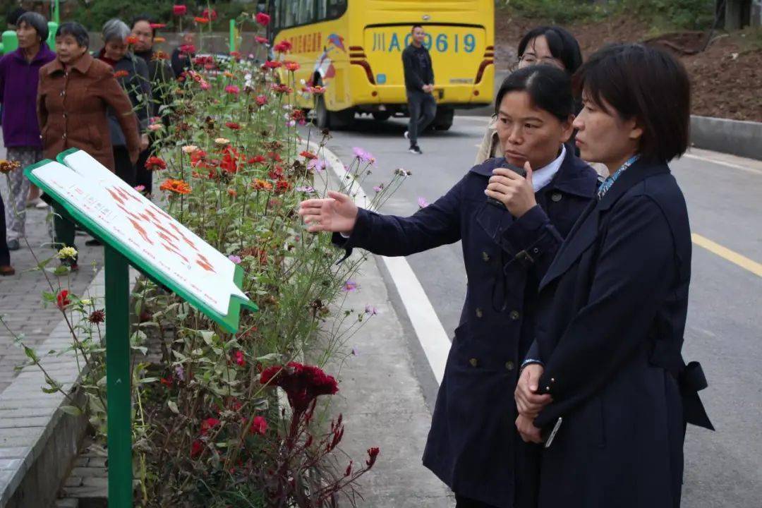 区委社治委常务副主任戚玉静同志带队到清泉镇开展党建引领城乡社区