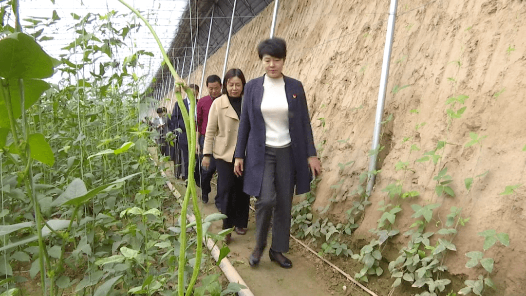 县委书记冯利霞深入城关乡调研巩固拓展脱贫攻坚成果工作