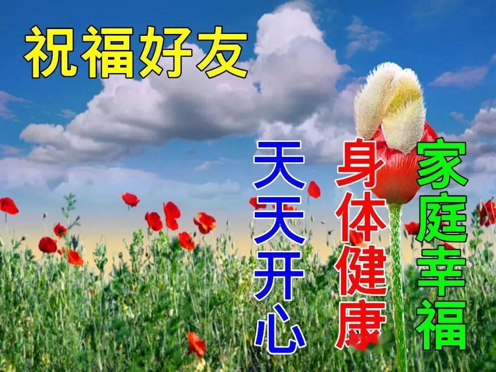 10月19日最漂亮早上好動態表情圖片大全秋天早安問候美圖大全