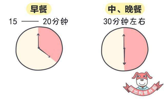因为|10个饮食习惯，让你变成易胖体质！