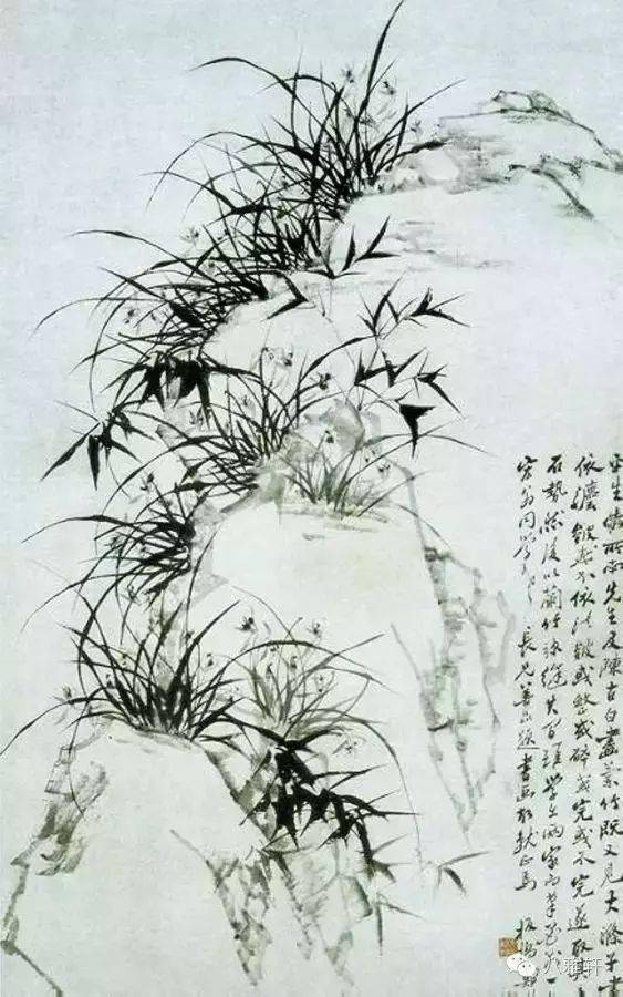 八雅轩丨艺术经典郑板桥画兰画的是兰花的骨头