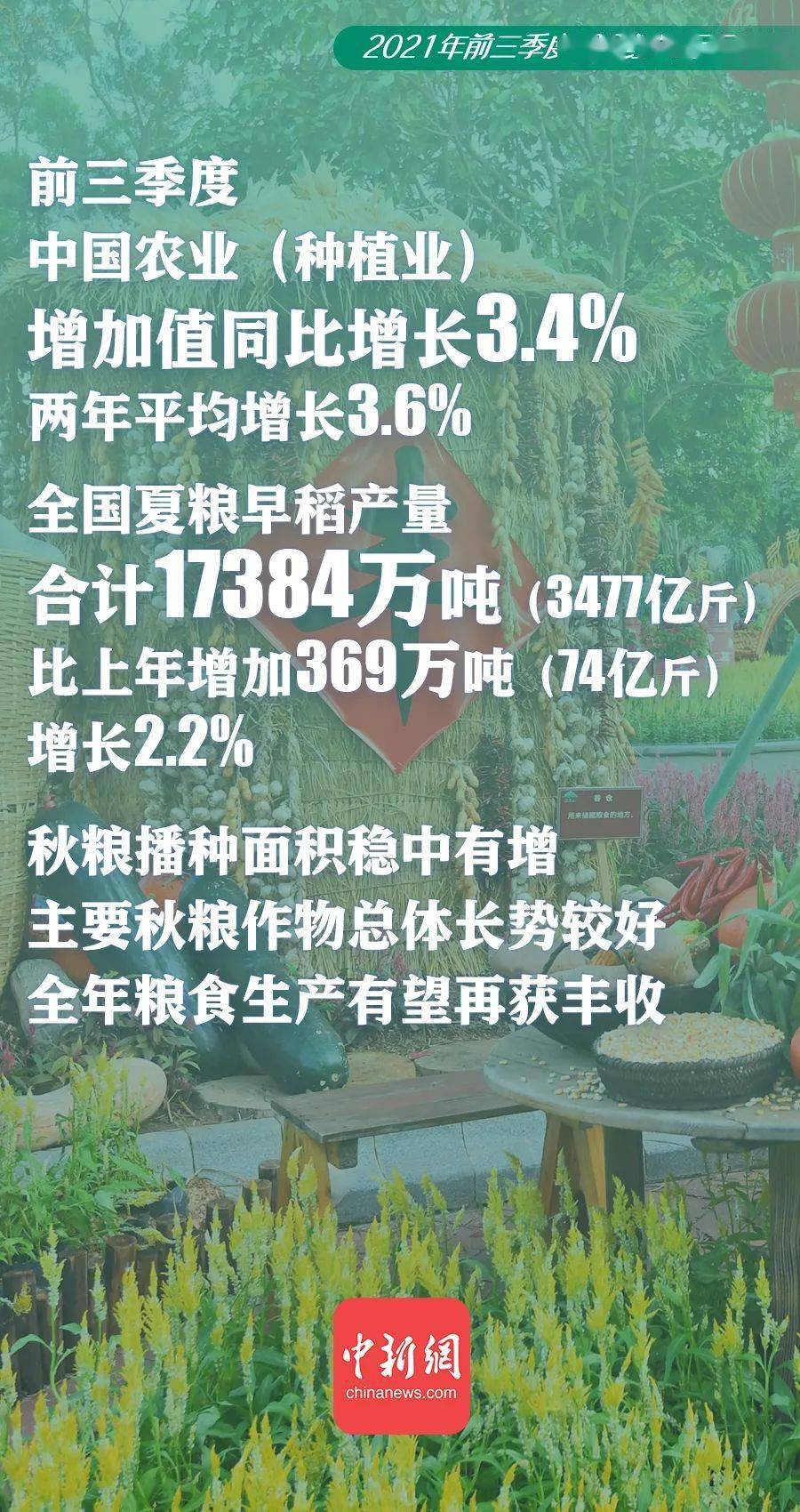 我国自1978年以来的GDP增长数据_GDP同比增长9.8%!前三季度国民经济数据来了!