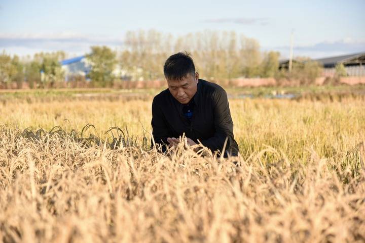 其中《海王》将提前北美两周果静林老婆
