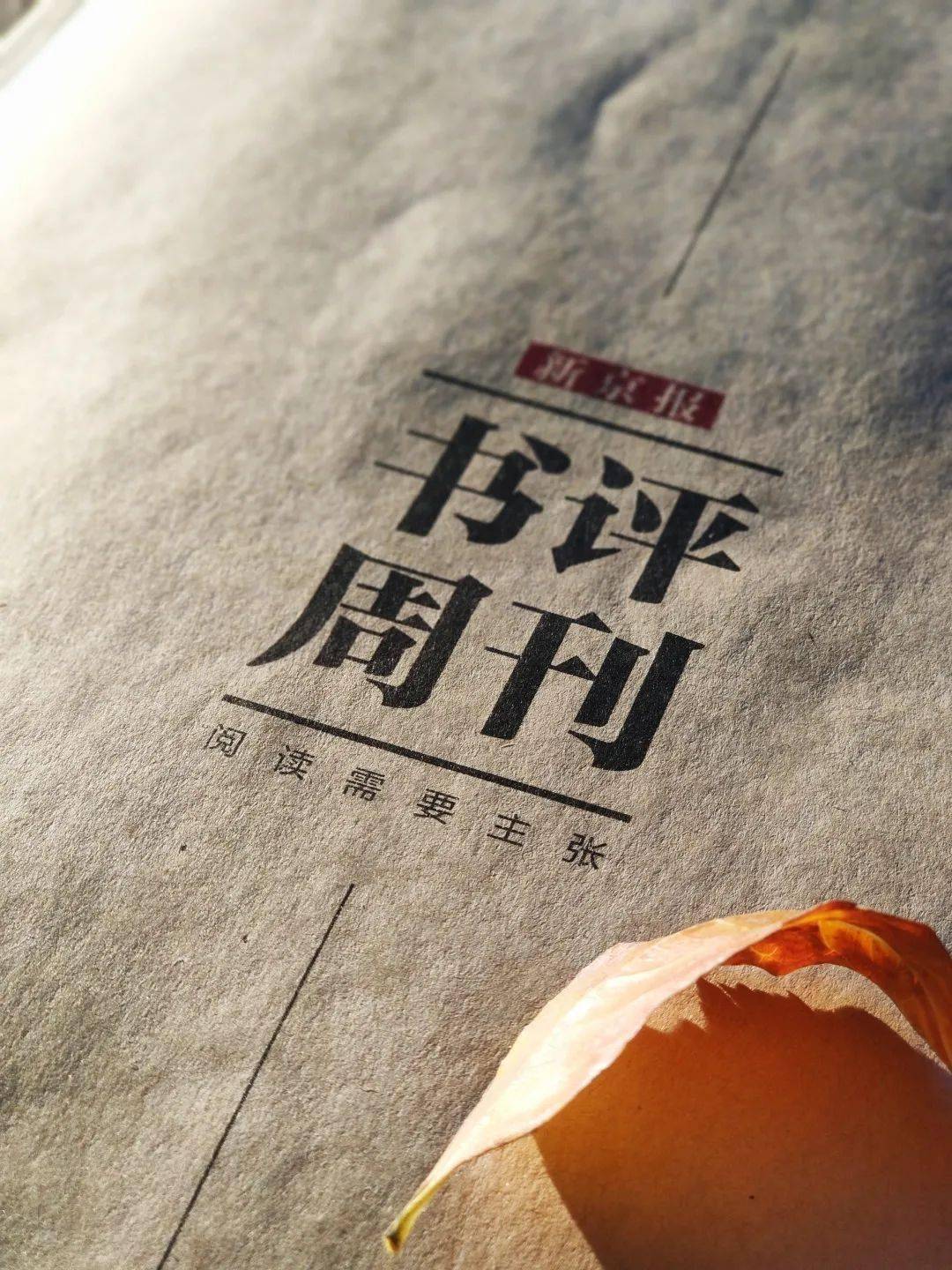 古希腊|18年来首次！《新京报·书评周刊》年度合订本来啦！