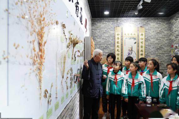 中药房|体验中医文化 迎接“世界传统医药日”