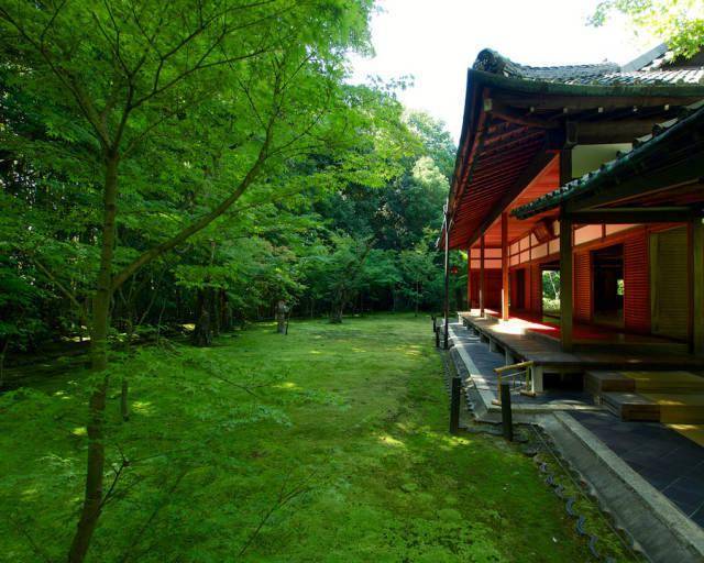 秋之韵 · 大德寺高桐院
